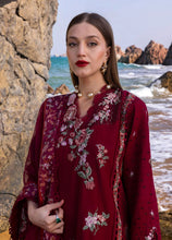 Load image into Gallery viewer, Crimson Parsi Threads - D5 B