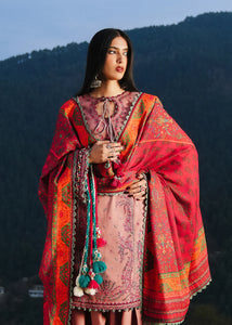 Winter Shawl Mehr