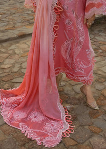 CRIMSON ALL THINGS OMBRÉ - D1B