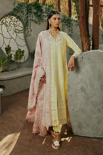 SUFFUSE CASUAL PRET 24 AMRITI