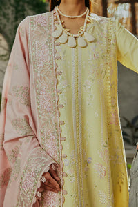 SUFFUSE CASUAL PRET 24 AMRITI